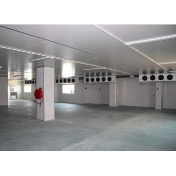 Kamar freezer bitzer untuk daging